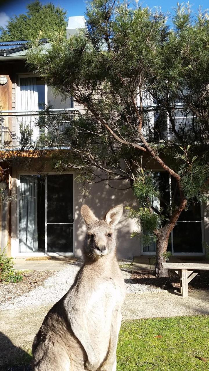 Yha Grampians Eco, Halls Gap Exterior foto