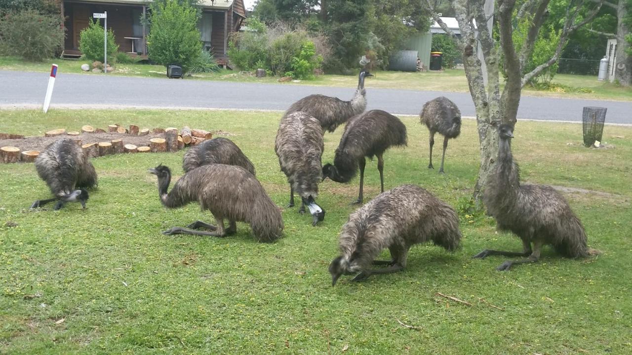 Yha Grampians Eco, Halls Gap Exterior foto